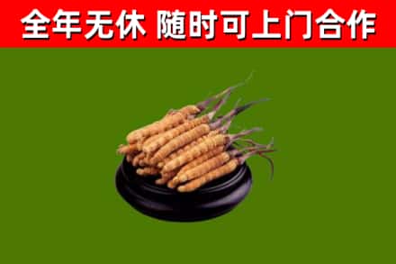 辽源市烟酒回收冬虫夏草.jpg